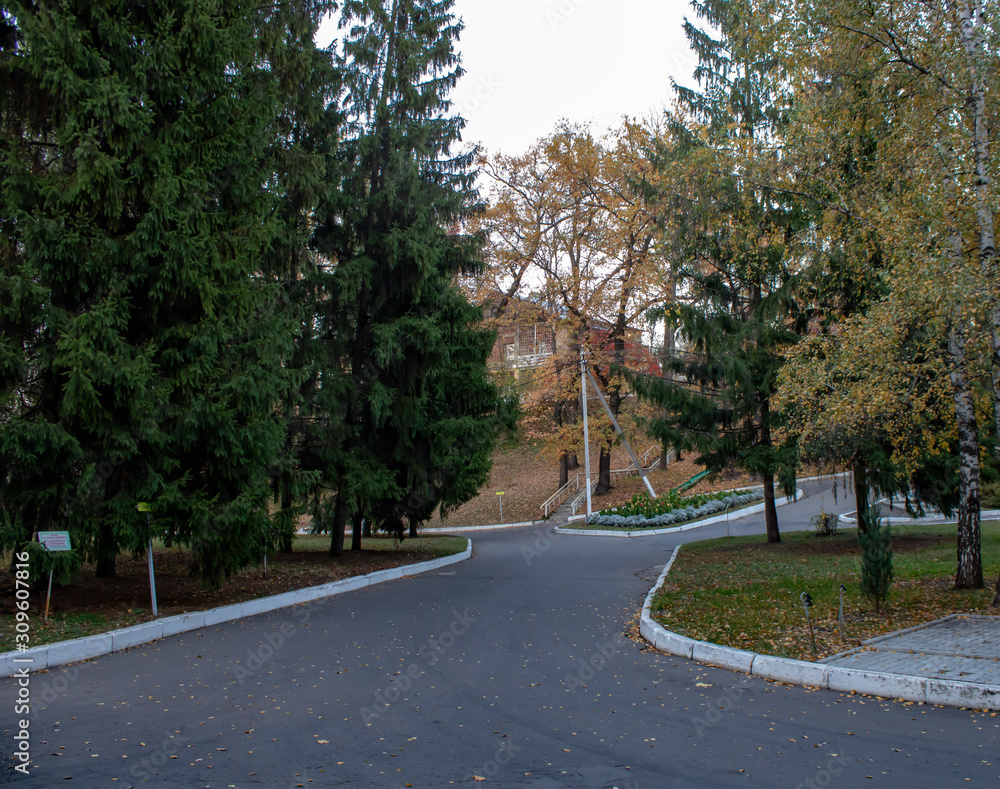 RUSSIA, VORONEZH-10.10.2019: Monument to Maxim Gorky in the park recreation area in the autumn evening RUSSIA, VORONEZH-10.10.2019: Monument to Maxim Gorky in the park recreation area in the autumn evening