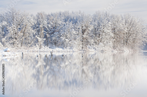 Winter landscape of snow covered trees on the shoreline of Jackson Hole Lake with reflections in calm water, Fort Custer State Park, Michigan, USA
