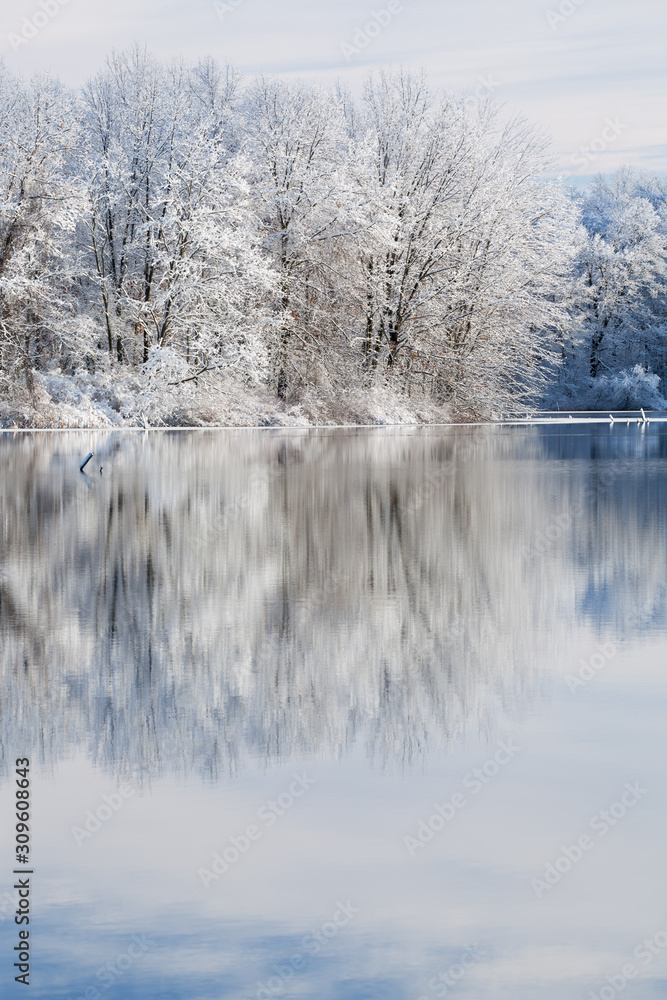 Winter landscape of snow covered trees on the shoreline of Jackson Hole Lake with reflections in calm water, Fort Custer State Park, Michigan, USA