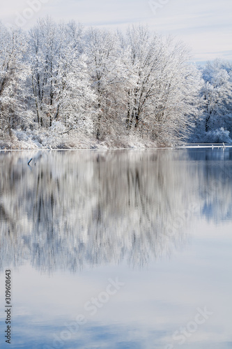 Winter landscape of snow covered trees on the shoreline of Jackson Hole Lake with reflections in calm water, Fort Custer State Park, Michigan, USA