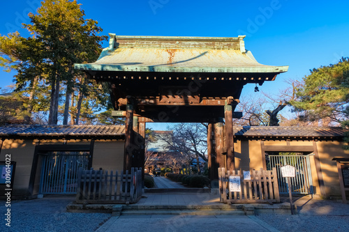 Obraz na płótnie 世田谷 豪徳寺 山門