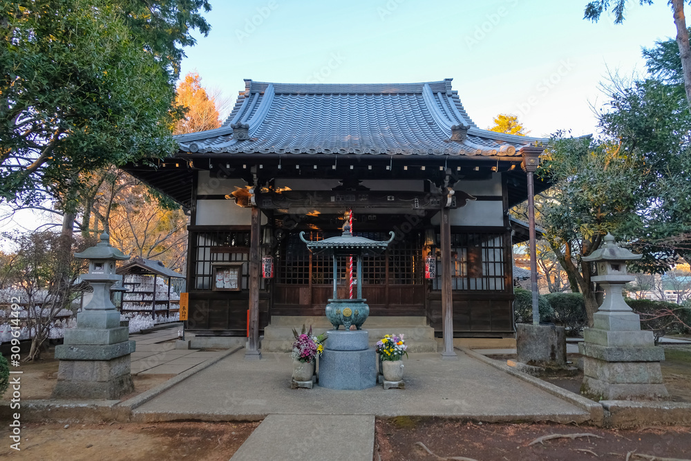 世田谷 豪徳寺 招福殿