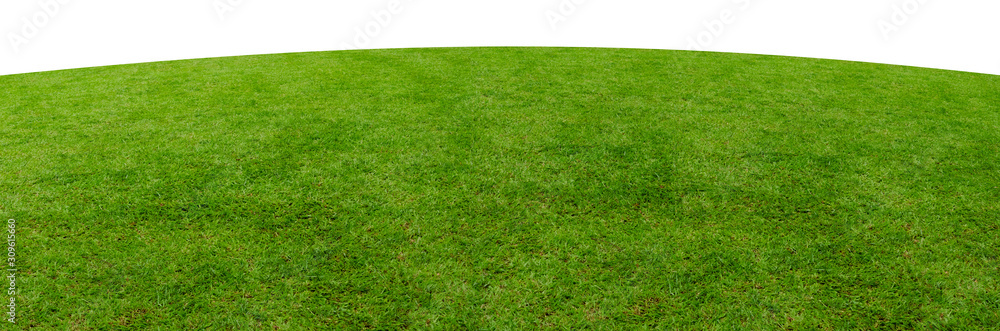 Green grass field isolated on white background with clipping path. Green grass field isolated on white background with clipping path.
