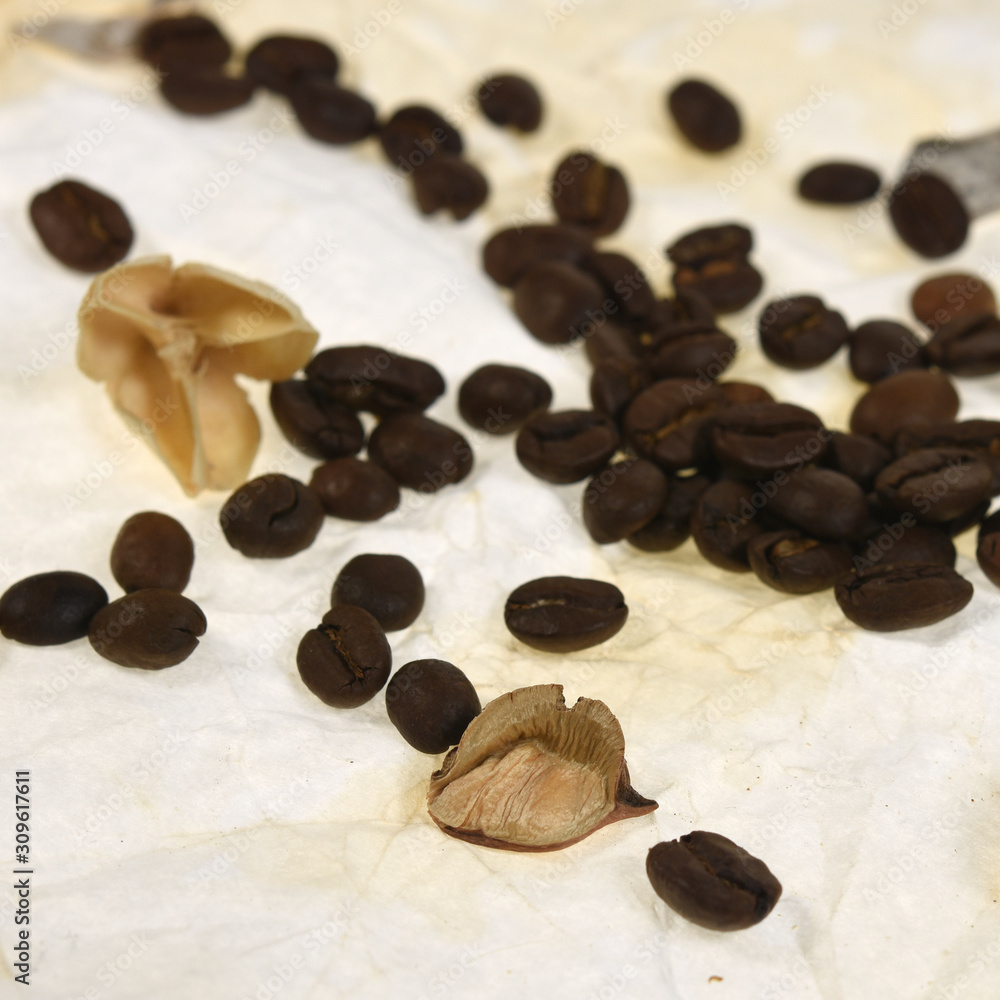 Obraz premium coffee beans on aged paper background