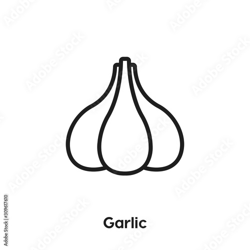 garlic icon vector sign symbol
