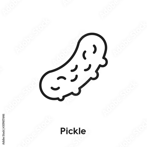 pickle icon vector. cucumber icon vector symbol illustration. Modern simple vector icon for your design. pickle icon vector	