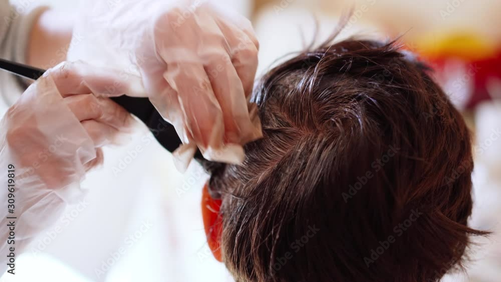 Female hairdresser in protective transparent gloves dyeing short brunette hair in beauty salon. Stylist using professional hairbrush and applying brown tint on hair roots. Process of coloring hair Female hairdresser in protective transparent gloves dyeing short brunette hair in beauty salon. Stylist using professional hairbrush and applying brown tint on hair roots. Process of coloring hair