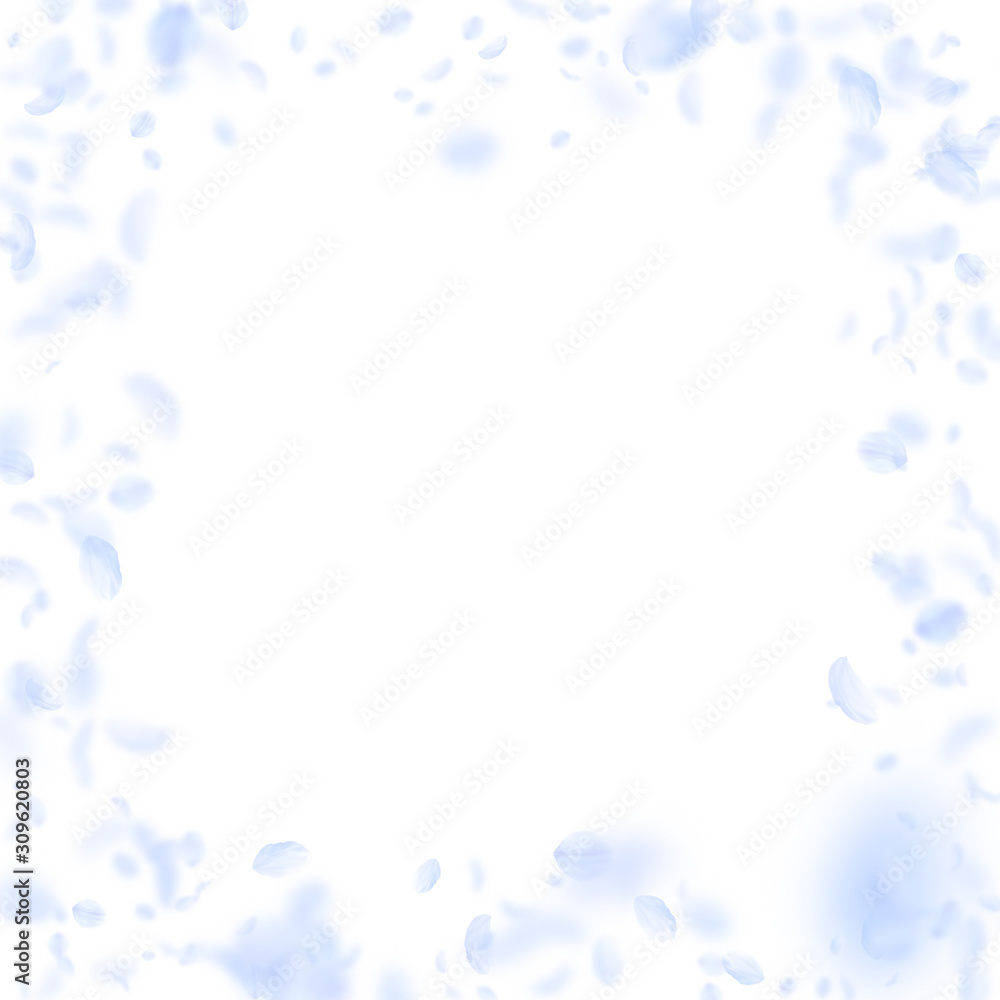 Light blue flower petals falling down. Memorable r Light blue flower petals falling down. Memorable r