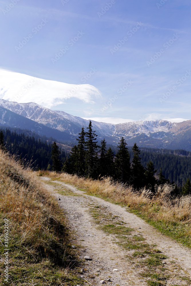 Path in the forest, nature in Slovakia. 