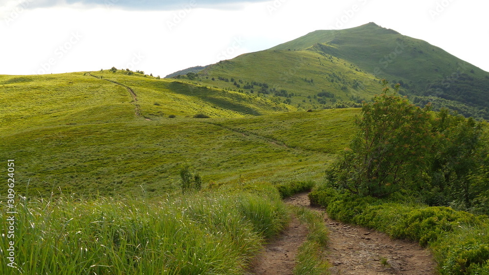 Zaskakujące Bieszczady Zaskakujące Bieszczady