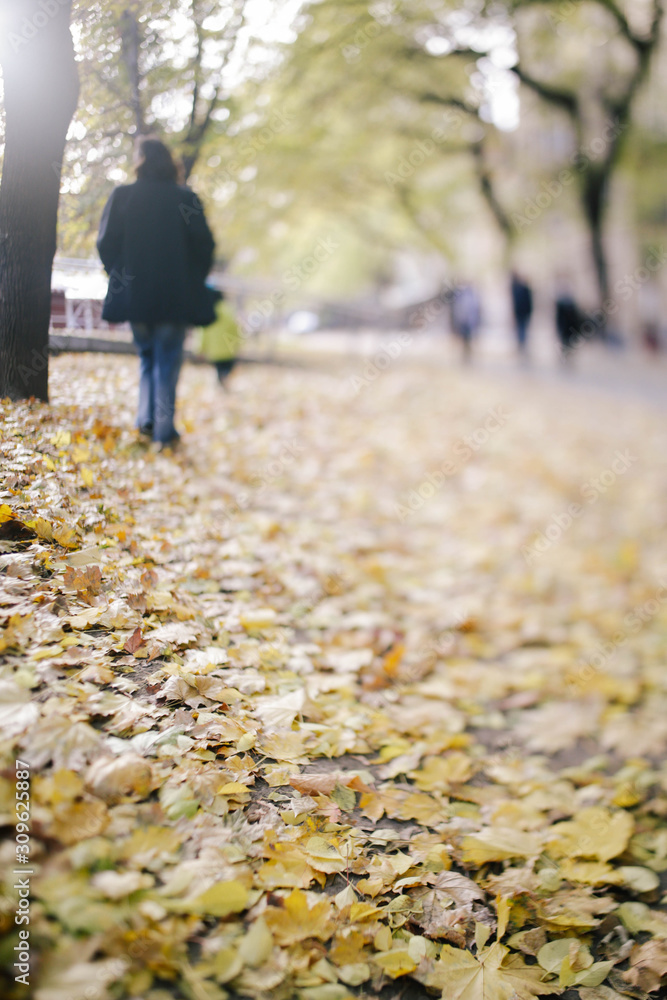 Beautiful autumn in the city. Historical building and autumnal leaves. Beautiful autumn in the city. Historical building and autumnal leaves.