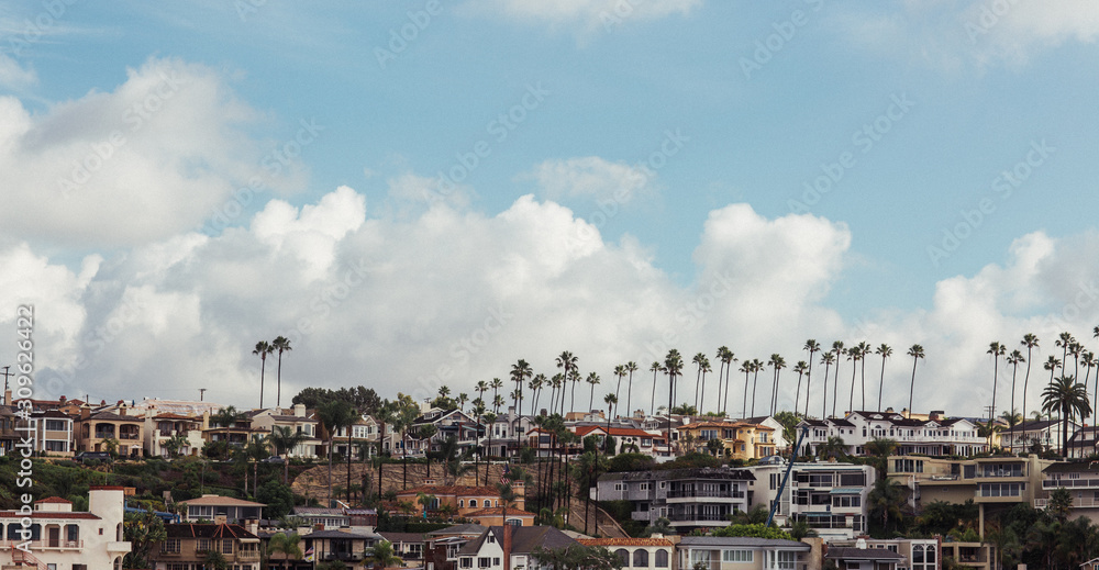 Buildings and palm trees on the beach