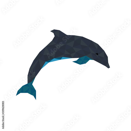 Low poly illustration of dolphin
