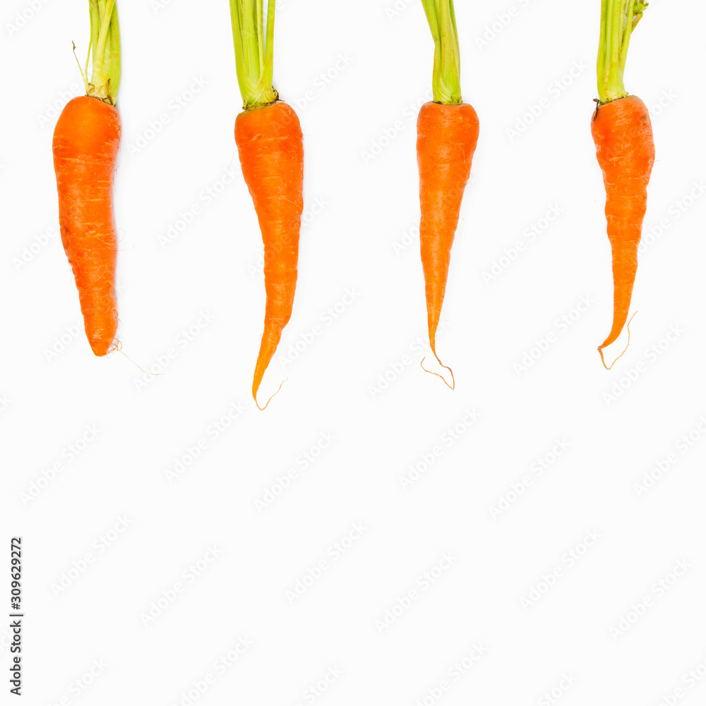 fresh carrots isolated on a white background. Bunch of baby carrots isolated on white background. fresh carrots isolated on a white background. Bunch of baby carrots isolated on white background.