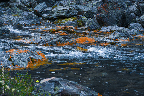 Mountain stream with yellow stones. Rapid flow of river, boiling water © Koirill