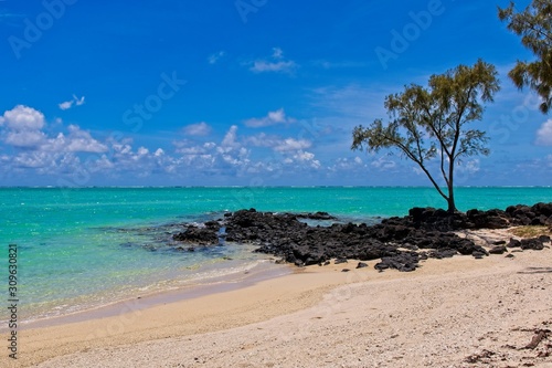 tropical beach with tree and rocks