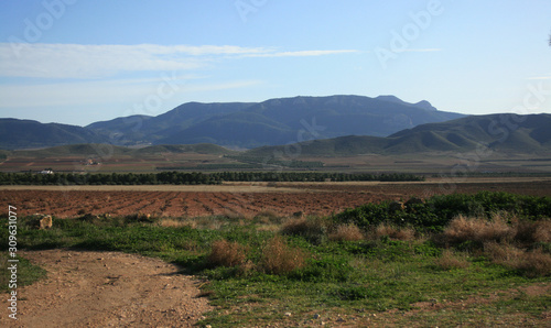 FIELDS AND MOUNTAINS LANDSCAPE