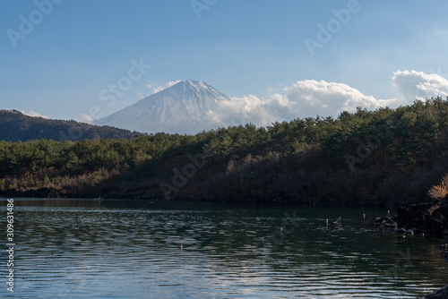 Der Fuji   ber dem Saiko See