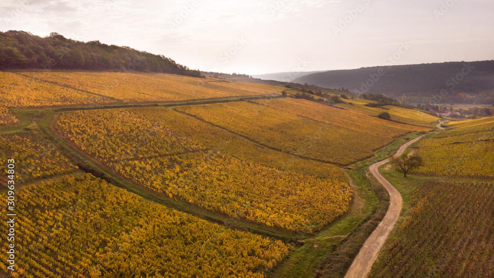 vue aérienne des vignes de bourgogne en automne vue aérienne des vignes de bourgogne en automne