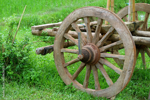 Принти на полотні The wooden wheel of an old bullock cart in the green field