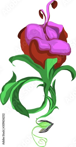 Графика и иллюстрации