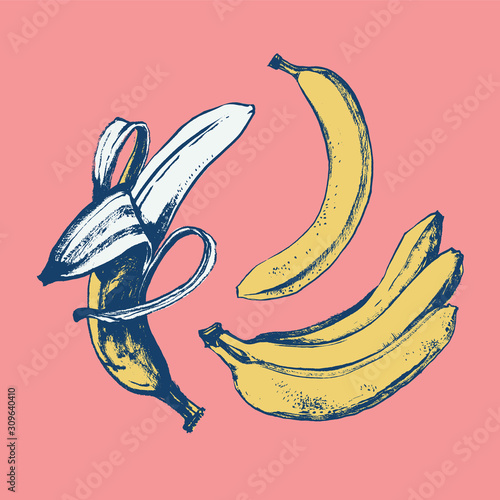 Bright banana set drawing with ink and brush