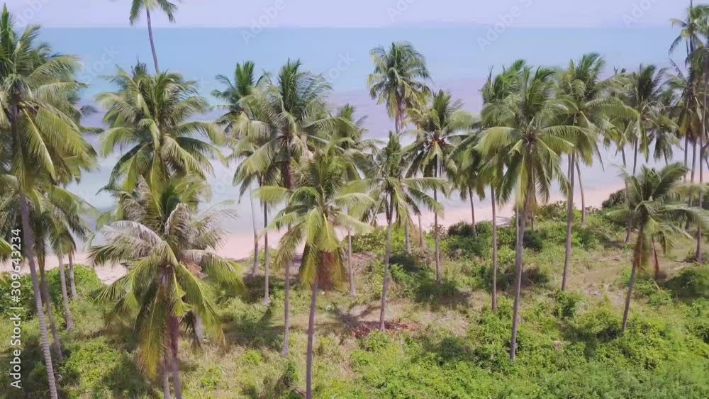 Coconut Palm Tree Coast Line with Sandy Beach by Tropical Sea in Thailand. Aerial View Coconut Palm Tree Coast Line with Sandy Beach by Tropical Sea in Thailand. Aerial View