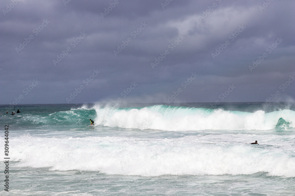 Surfs up Surfs up