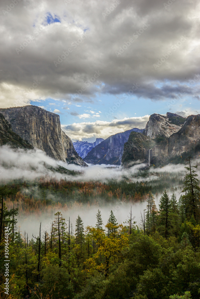Foggy Tunnel View