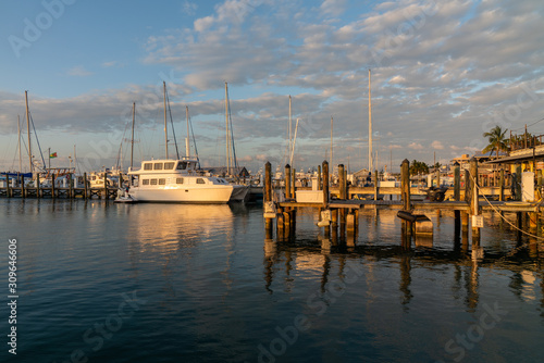 boats in the harbor