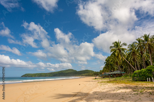 Nacpan sandy beach in El Nido Philippines - tropical beach with coconut trees