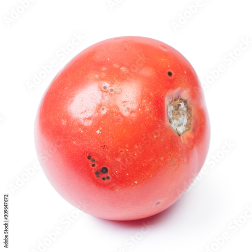 Spoiled tomato isolated