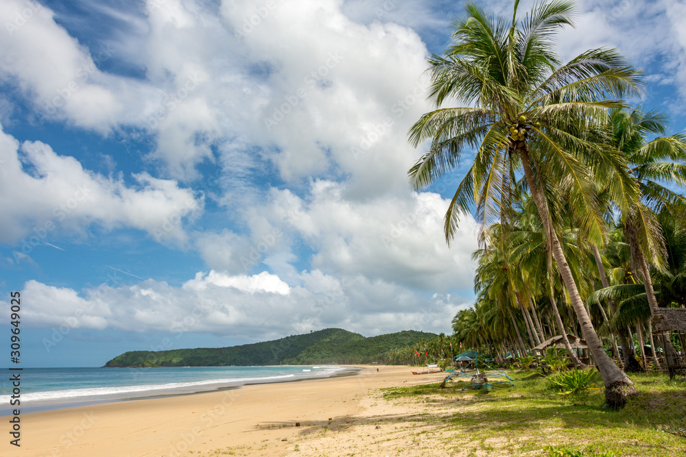 Nacpan sandy beach in El Nido Philippines - tropical beach with coconut trees Nacpan sandy beach in El Nido Philippines - tropical beach with coconut trees