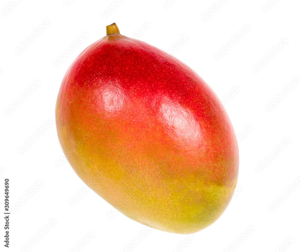 mango on a white background mango on a white background