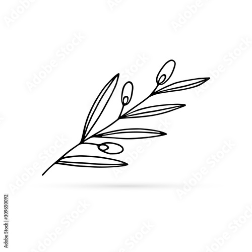 Outline olive branch iconisolated doodle Vector Image