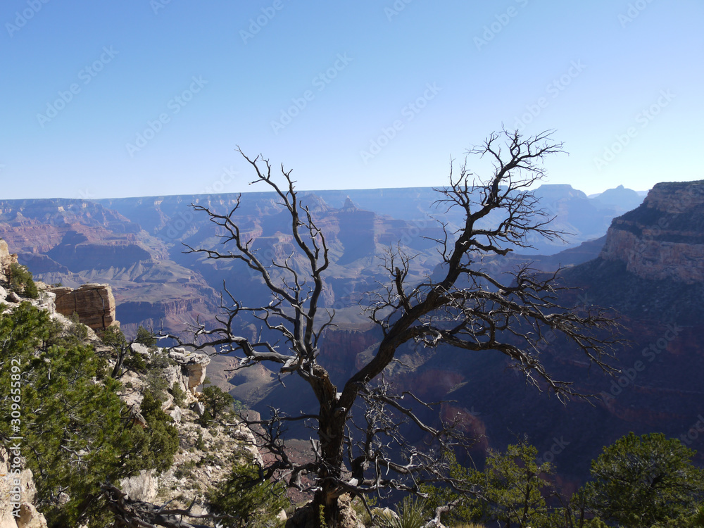 grand canyon grand canyon