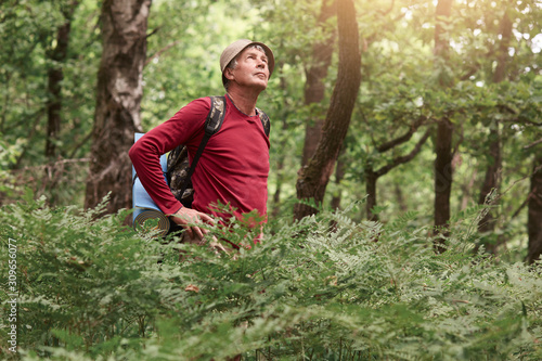 Outdoor shot of senior traveler walking in forest, wearing casual clothes, carries backpack with rug, standing with hands on hips and looking up on sky, relaxing in open air, enjoying fresh air.