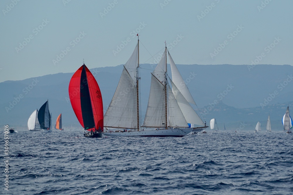 Fototapeta premium Les voiles 2018