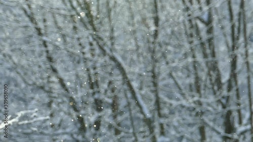 Fine snow slowly falls sparkling in the rays of the winter sun .Slow-motion photo