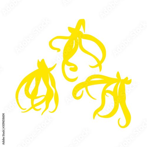 Tropical flower - ylang-ylang Cananga . Vector illustration. flat