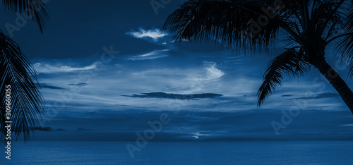 Sunset and palms. Classic Blue abstract background. Color of the year 2020.