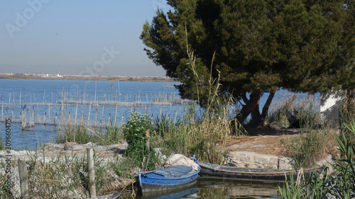 Foto el palmar