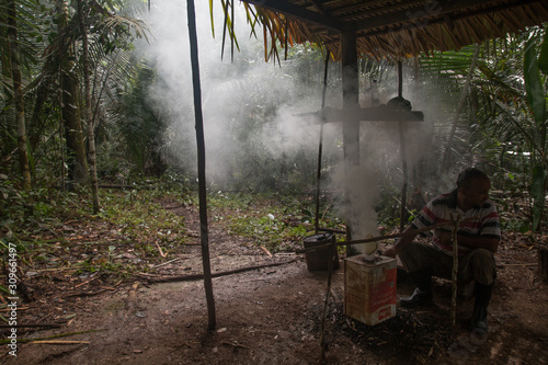 Hut in the jungle for the rubber production, Amazon region, Brazil, South America