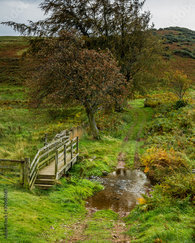 View of Wooler Common, Northumberland, England. Taken in autum. photo