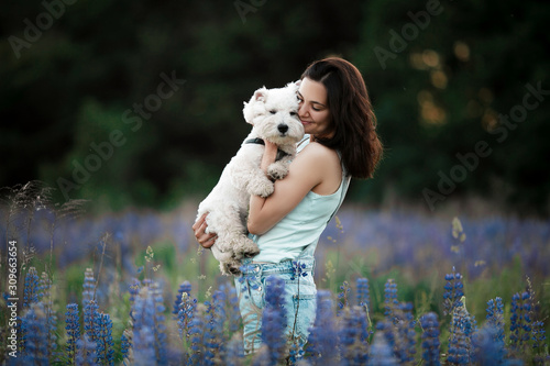 Loving owner hold and hug her favourite and best friend - little white furry and fluffy dog - on summer field with many bright flowers, lupins.