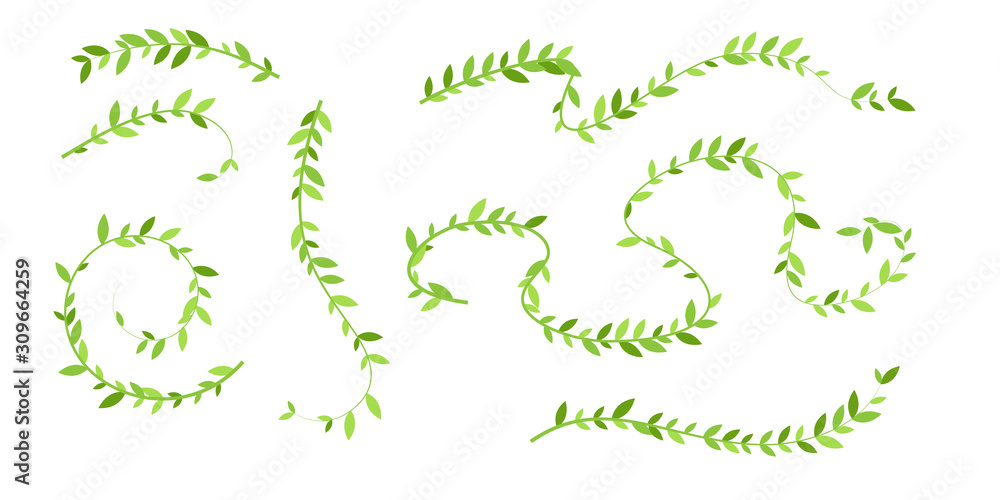 Hanging plants with green leaves. Simplistic foliage ornate design elements. Set of isolated vector decorations. - obrazy, fototapety, plakaty 