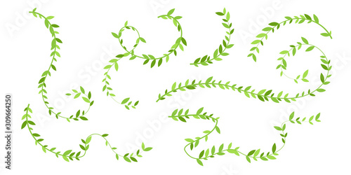 Hanging plants with green leaves. Simplistic foliage ornate design elements. Set of isolated vector decorations.