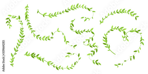 Hanging plants with green leaves. Simplistic foliage ornate design elements. Set of isolated vector decorations.