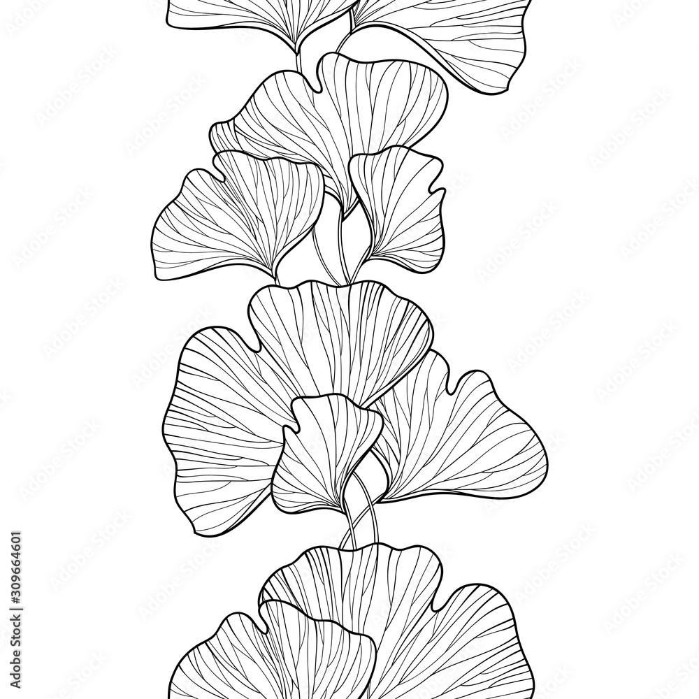 Seamless pattern with outline Gingko or Ginkgo biloba leaves in black on the white background.