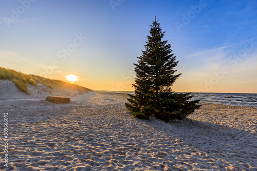 Fototapeta Naklejka Na Ścianę i Meble -  Weihnachtsbaum am Ostseestrand auf dem Darß